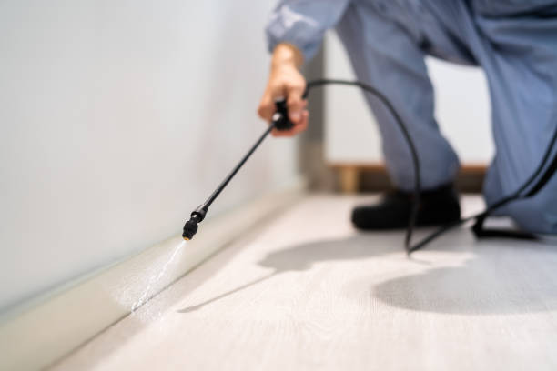 Bed Bug Pre-Treatment Preparation Assessment in Garden City