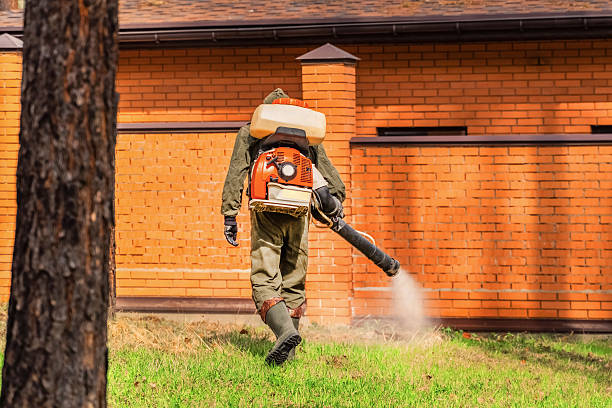 Bed Bug Clearance Verification and Documentation in Garden City